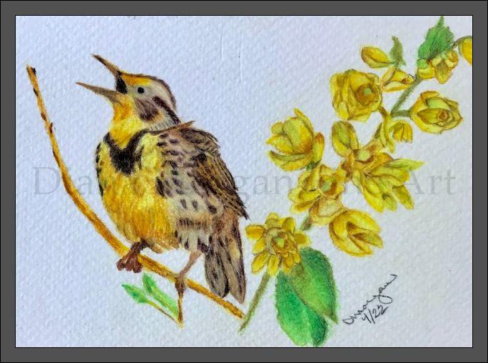 Meadowlark & Oregon Grape
